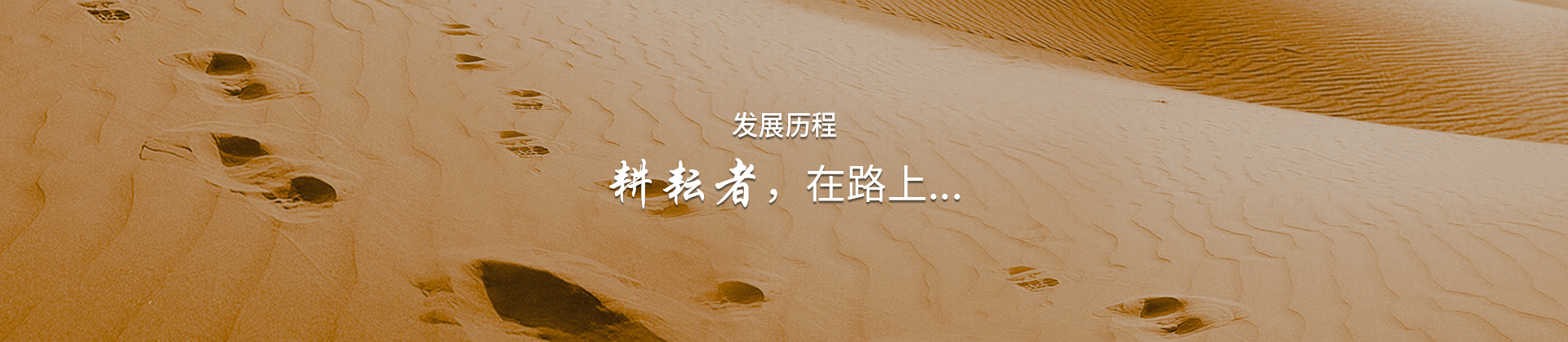 发展历程