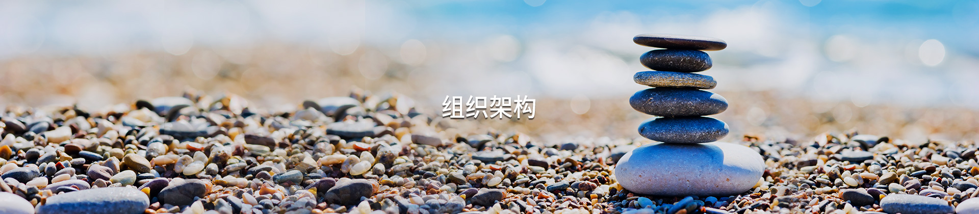 组织架构